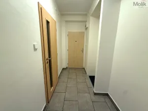 Pronájem bytu 2+1, Most, Petra Jilemnického, 54 m2