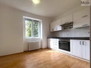 Pronájem bytu 1+1, Most, Lesní, 30 m2