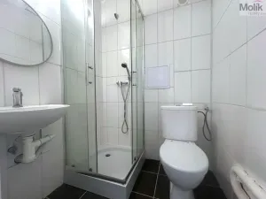 Pronájem bytu 1+1, Most, Lesní, 30 m2