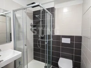 Prodej bytu 1+kk, Olomouc, Wittgensteinova, 30 m2