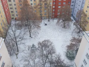 Prodej bytu 2+kk, Praha - Žižkov, Biskupcova, 46 m2