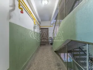 Prodej bytu 2+kk, Praha - Žižkov, Biskupcova, 47 m2