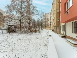 Prodej bytu 2+kk, Praha - Žižkov, Biskupcova, 47 m2