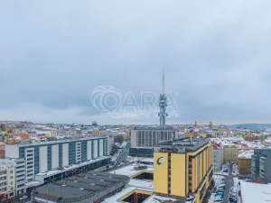 Prodej bytu 2+kk, Praha - Žižkov, Biskupcova, 47 m2