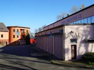 Prodej výrobních prostor, Havířov - Prostřední Suchá, Nový Svět, 20500 m2