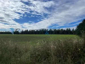 Prodej pozemku pro bydlení, Ostrava - Bartovice, Dvorová, 66863 m2