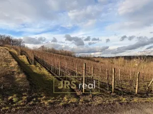 Prodej pozemku, Mutěnice, 3399 m2