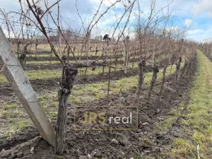 Prodej pozemku, Mutěnice, 3399 m2