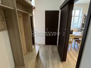 Pronájem bytu 1+1, Olomouc, Šmeralova, 45 m2