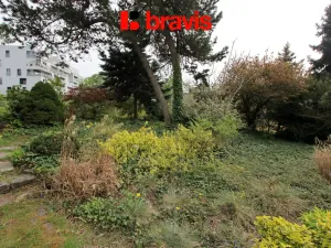 Pronájem bytu 1+1, Brno, Lipová, 22 m2