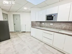 Pronájem kanceláře, Plzeň, Rybářská, 152 m2