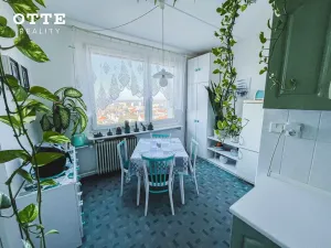 Prodej bytu 2+1, Plzeň, Na Dlouhých, 61 m2