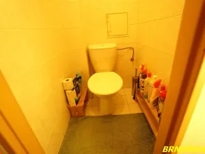 Pronájem pokoje, Brno, Malinovského náměstí, 15 m2