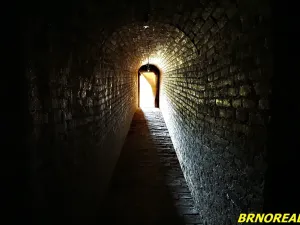 Prodej vícegeneračního domu, Staré Město pod Landštejnem, 1150 m2