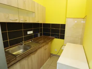 Pronájem bytu 1+kk, Praha, Štěpánská, 22 m2