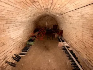 Prodej vinného sklepa, Týnec, Sportovní, 34 m2