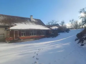 Prodej rodinného domu, Horní Radslavice, 752 m2