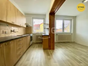 Pronájem rodinného domu, Branka u Opavy, Selská, 200 m2