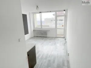 Prodej bytu 1+kk, Most, U Věžových domů, 22 m2