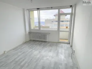 Prodej bytu 1+kk, Most, U Věžových domů, 22 m2