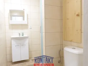 Pronájem bytu 1+1, České Budějovice - České Budějovice 2, 44 m2