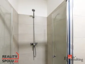 Pronájem bytu 1+kk, Plzeň - Jižní Předměstí, Magisterská, 29 m2