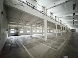 Prodej výrobních prostor, Hustopeče, 1710 m2