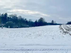 Prodej pole, Zbýšov, 36358 m2
