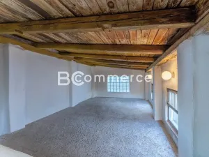 Prodej rodinného domu, Brandýs nad Labem-Stará Boleslav, Na baterii, 300 m2