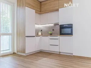 Pronájem bytu 1+kk, Ostrava, Aleše Hrdličky, 25 m2