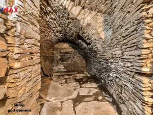 Prodej pozemku pro bydlení, Bílý Újezd, 3550 m2