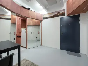 Prodej bytu 1+1, Praha - Žižkov, Baranova, 34 m2