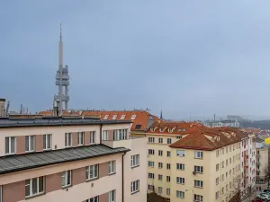 Prodej bytu 1+1, Praha - Žižkov, Baranova, 34 m2
