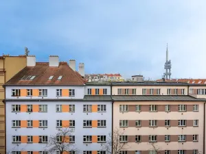 Prodej bytu 1+1, Praha - Žižkov, Baranova, 34 m2