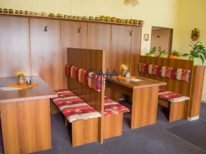 Pronájem ubytování, Veselí nad Moravou, Sadová, 170 m2