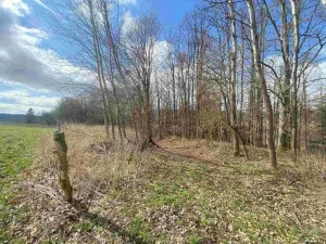 Prodej pozemku, Teplice nad Metují, 5185 m2