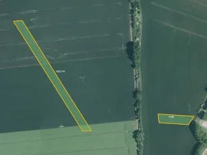 Prodej pole, Prštice, 7073 m2