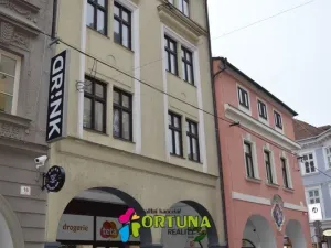 Prodej obchodního prostoru, České Budějovice - České Budějovice 1, Krajinská, 1563 m2