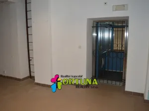 Prodej obchodního prostoru, České Budějovice - České Budějovice 1, Krajinská, 1563 m2