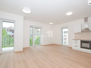 Pronájem bytu 2+kk, Liberec - Liberec II-Nové Město, Papírová, 74 m2