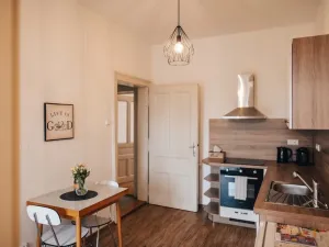 Pronájem bytu 1+1, Olomouc - Pavlovičky, Gorkého, 47 m2