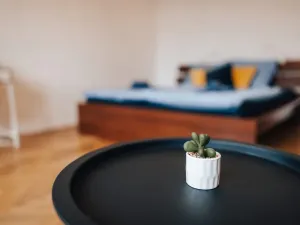 Pronájem bytu 1+1, Olomouc - Pavlovičky, Gorkého, 47 m2