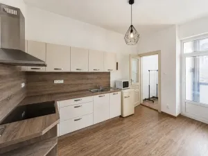 Pronájem bytu 1+1, Olomouc - Pavlovičky, Gorkého, 47 m2