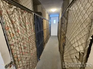 Prodej bytu 2+1, Olomouc, V hlinkách, 52 m2