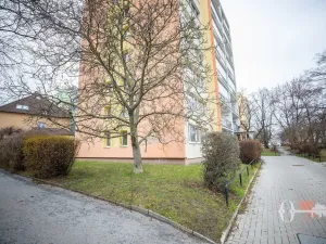 Pronájem bytu 3+1, Praha - Michle, Na líše, 72 m2