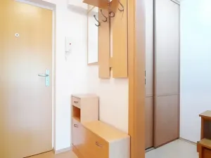 Pronájem bytu 1+kk, Brno, Šemberova, 51 m2