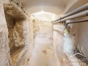 Prodej rodinného domu, Čáslav, Palackého, 158 m2