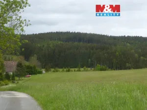 Prodej louky, Vysoká Srbská, 26000 m2