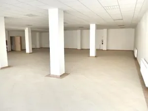 Pronájem obchodního prostoru, Prostějov, Koželuhova, 315 m2