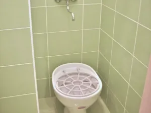 Pronájem obchodního prostoru, Prostějov, Koželuhova, 315 m2